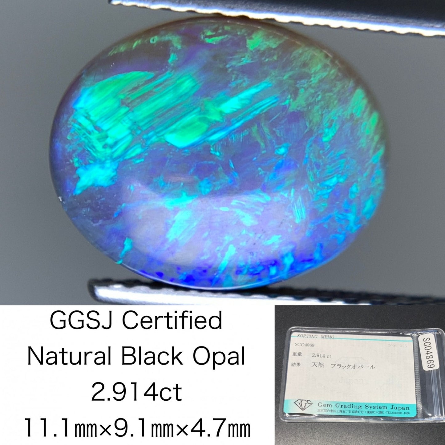 ブラックオパール 天然 2.914ct 宝石ソーティング付き 11.1㎜×9.1㎜×4.7㎜ ルース（ 裸石 ） 6960Y