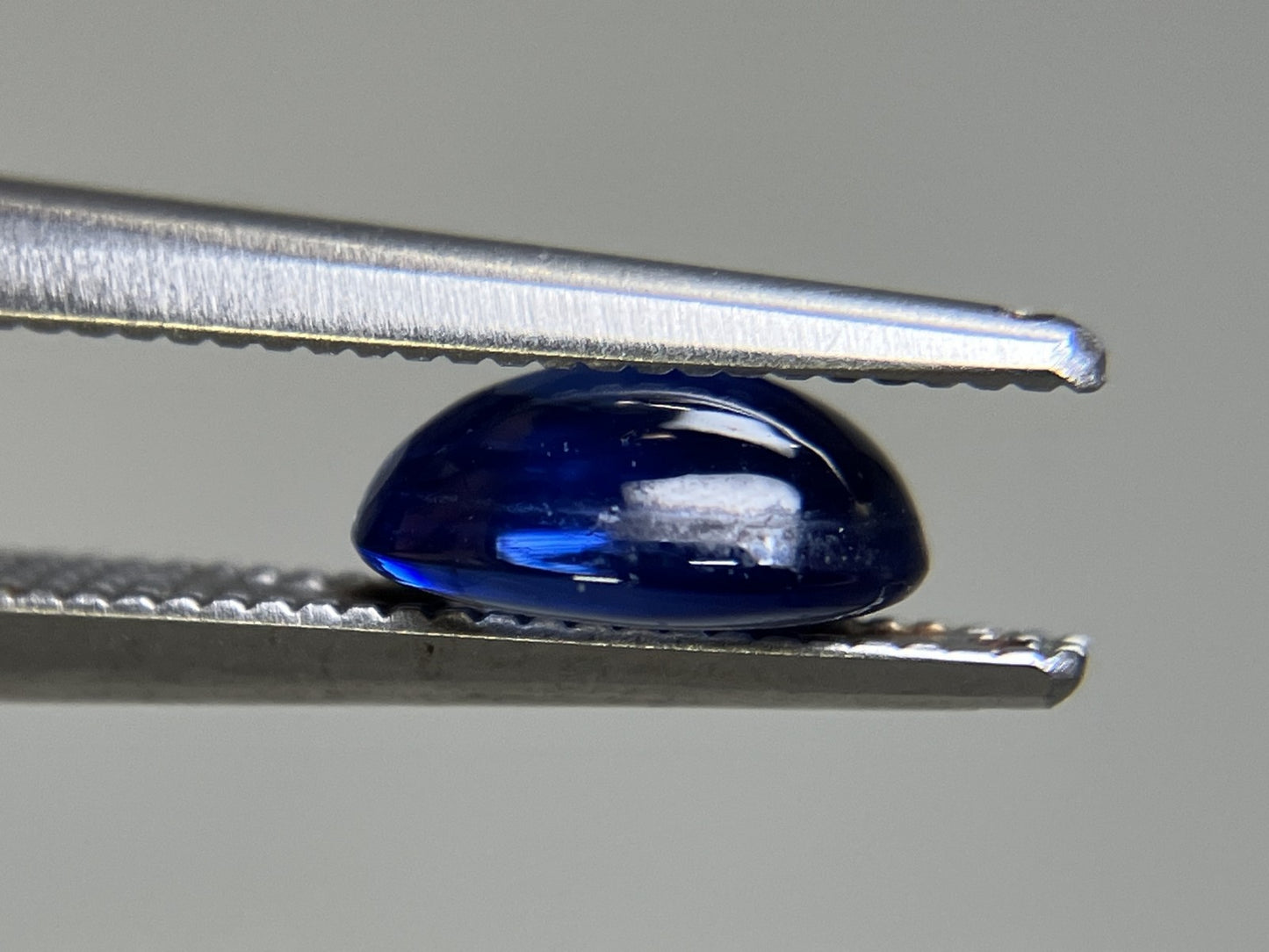 サファイア 1.542ct  宝石ソーティング付き  7.4㎜×5.8㎜×3.1㎜  天然 ルース（ 裸石 ） 4861YY