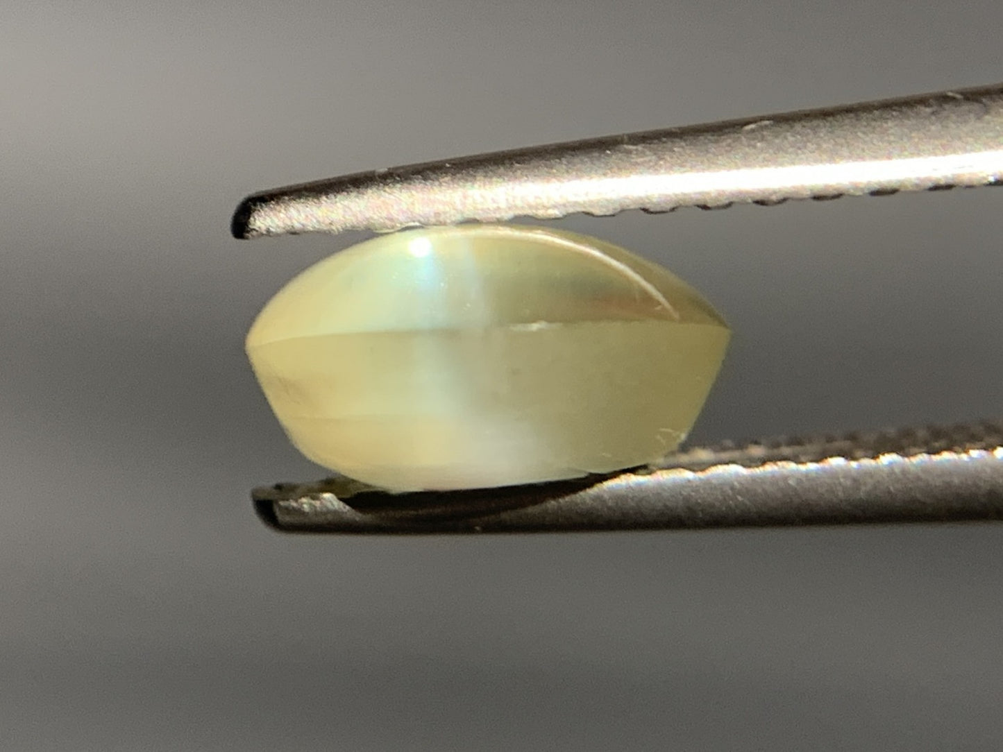 クリソベリルキャッツアイ 2.259ct  宝石ソーティング付き  7.5㎜×7.3㎜×4.0㎜  ルース（ 裸石 ） 2023Y