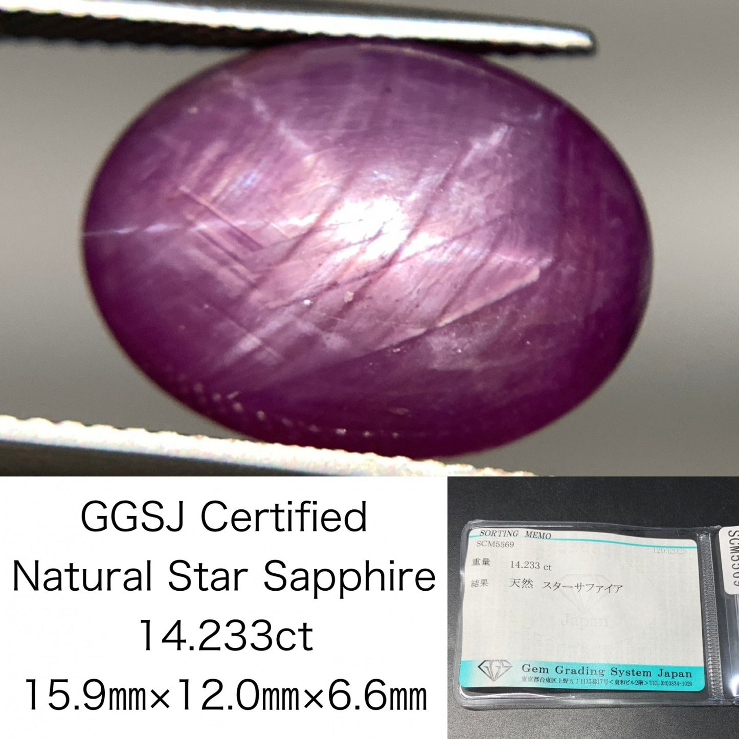 スターサファイア 天然  14.233ct  宝石ソーティング付き  15.9㎜×12.0㎜×6.6㎜  ラッピング無料  ルース（ 裸石 ）  5011Y