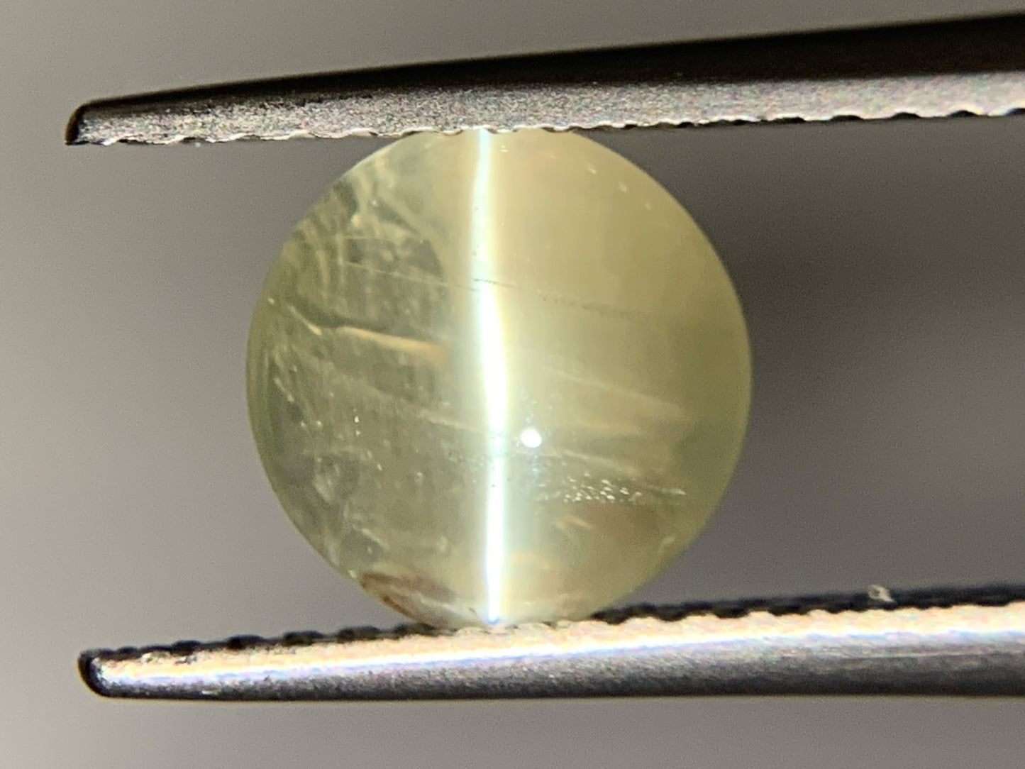 クリソベリルキャッツアイ 2.259ct  宝石ソーティング付き  7.5㎜×7.3㎜×4.0㎜  ルース（ 裸石 ） 2023Y