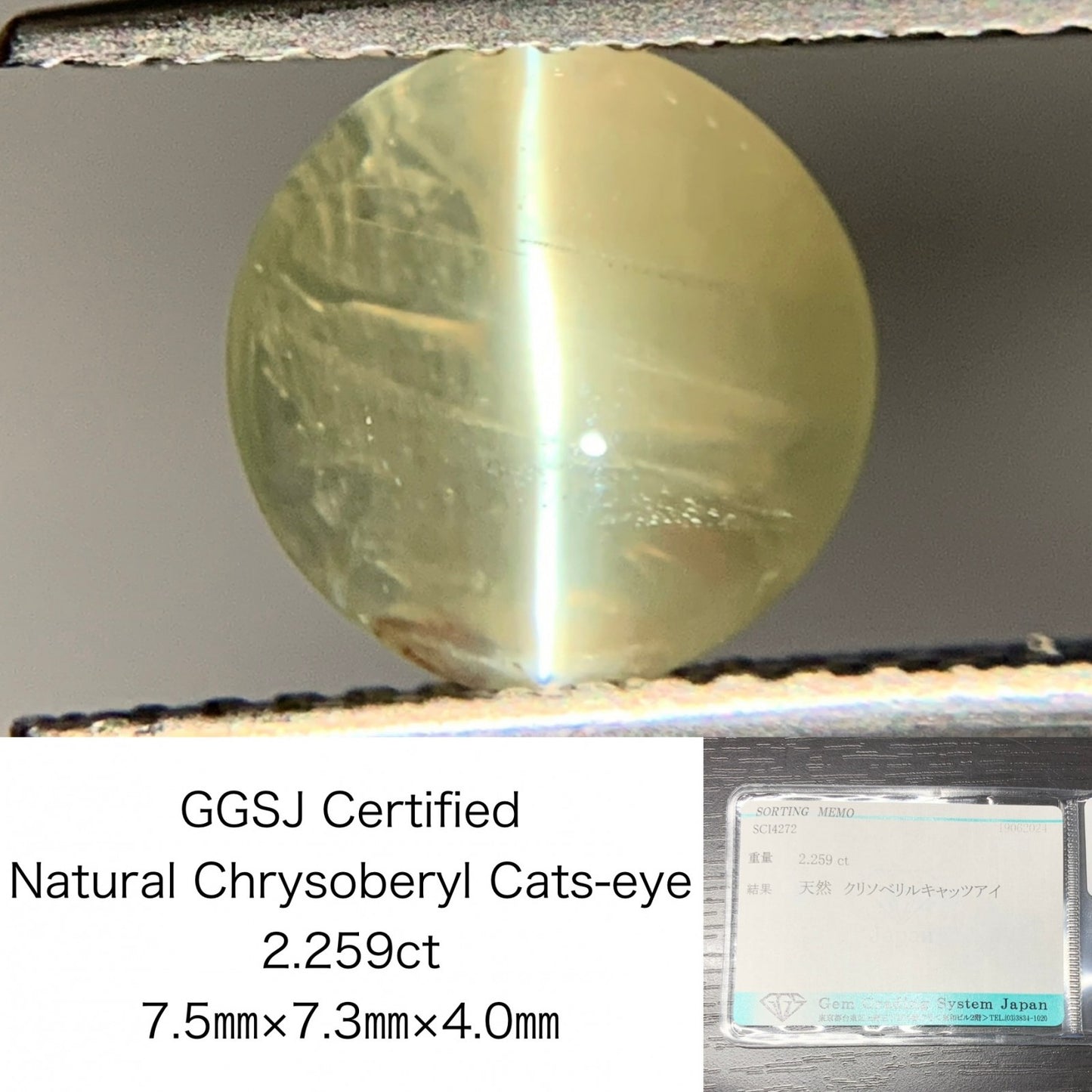 クリソベリルキャッツアイ 2.259ct  宝石ソーティング付き  7.5㎜×7.3㎜×4.0㎜  ルース（ 裸石 ） 2023Y