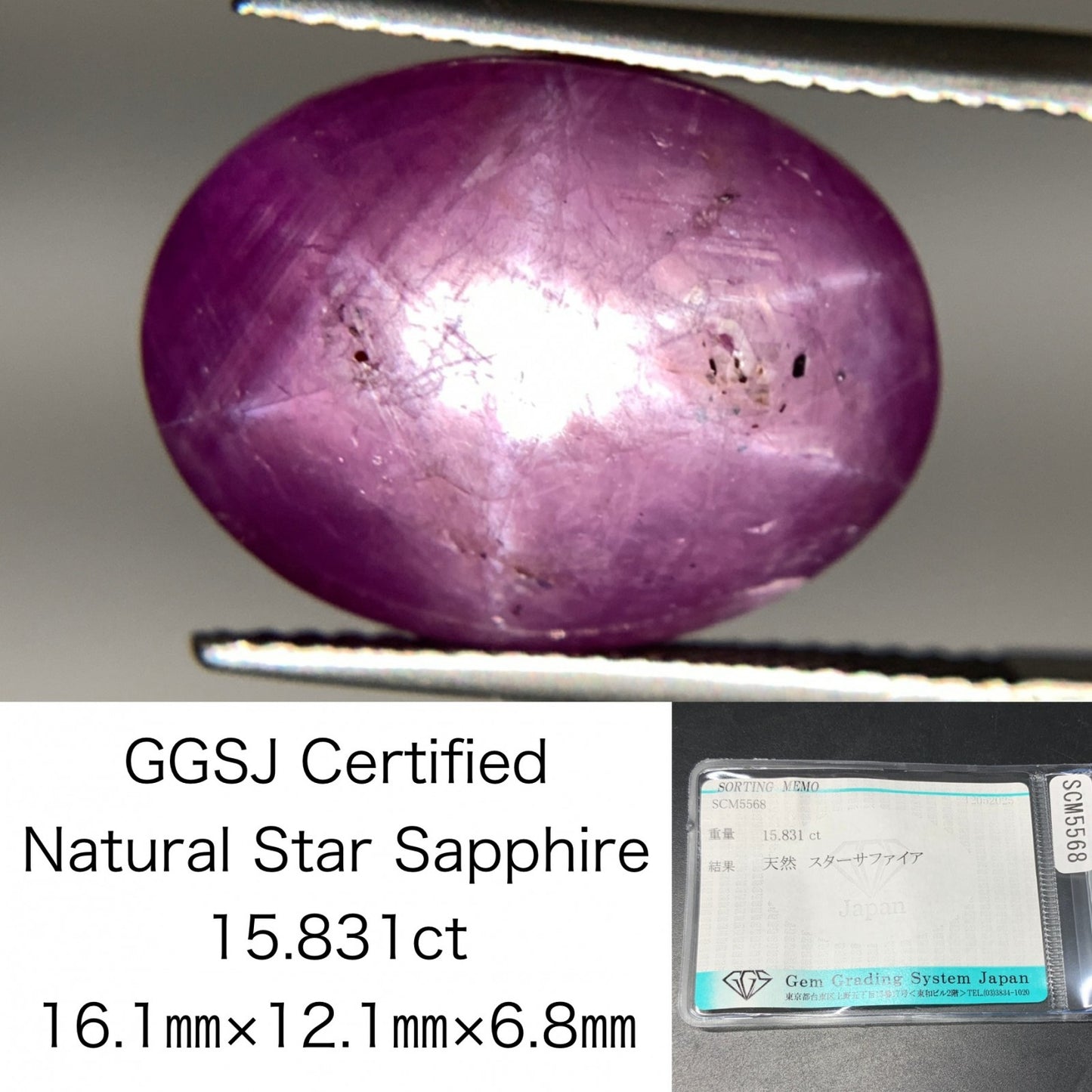 スターサファイア 天然  15.831ct  宝石ソーティング付き  16.1㎜×12.1㎜×6.8㎜  ルース（ 裸石 ）  5010Y