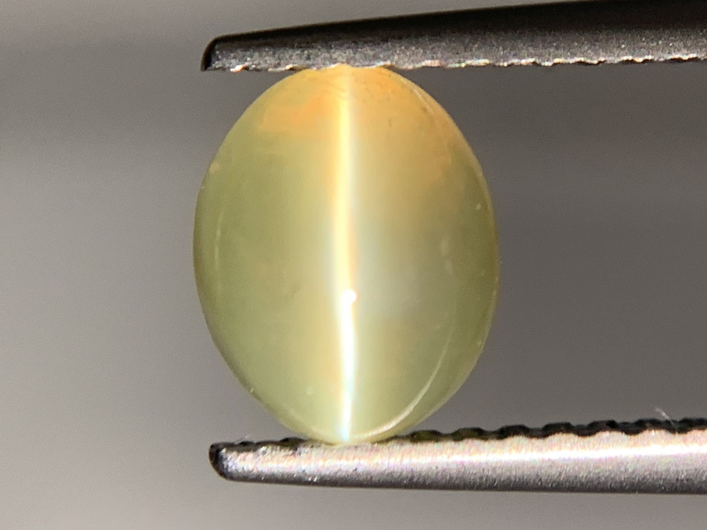 クリソベリルキャッツアイ 1.910ct  宝石ソーティング付き  7.0㎜×5.8㎜×4.5㎜  ルース（ 裸石 ） 2073Y