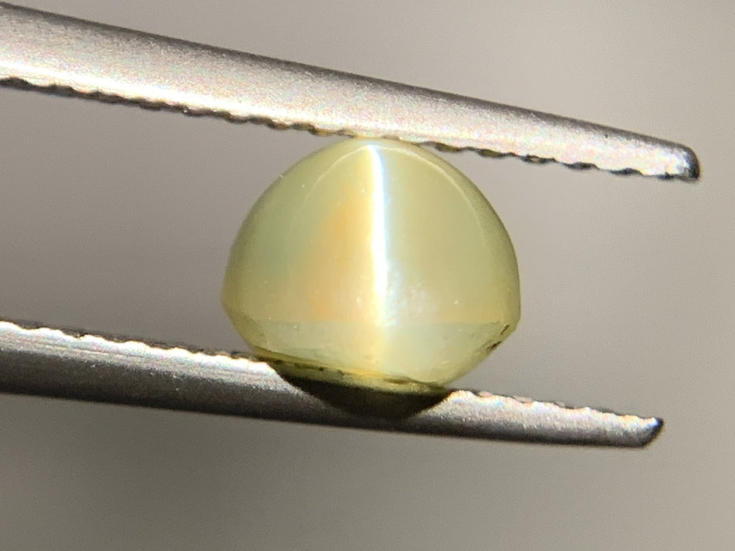 クリソベリルキャッツアイ 1.910ct  宝石ソーティング付き  7.0㎜×5.8㎜×4.5㎜  ルース（ 裸石 ） 2073Y