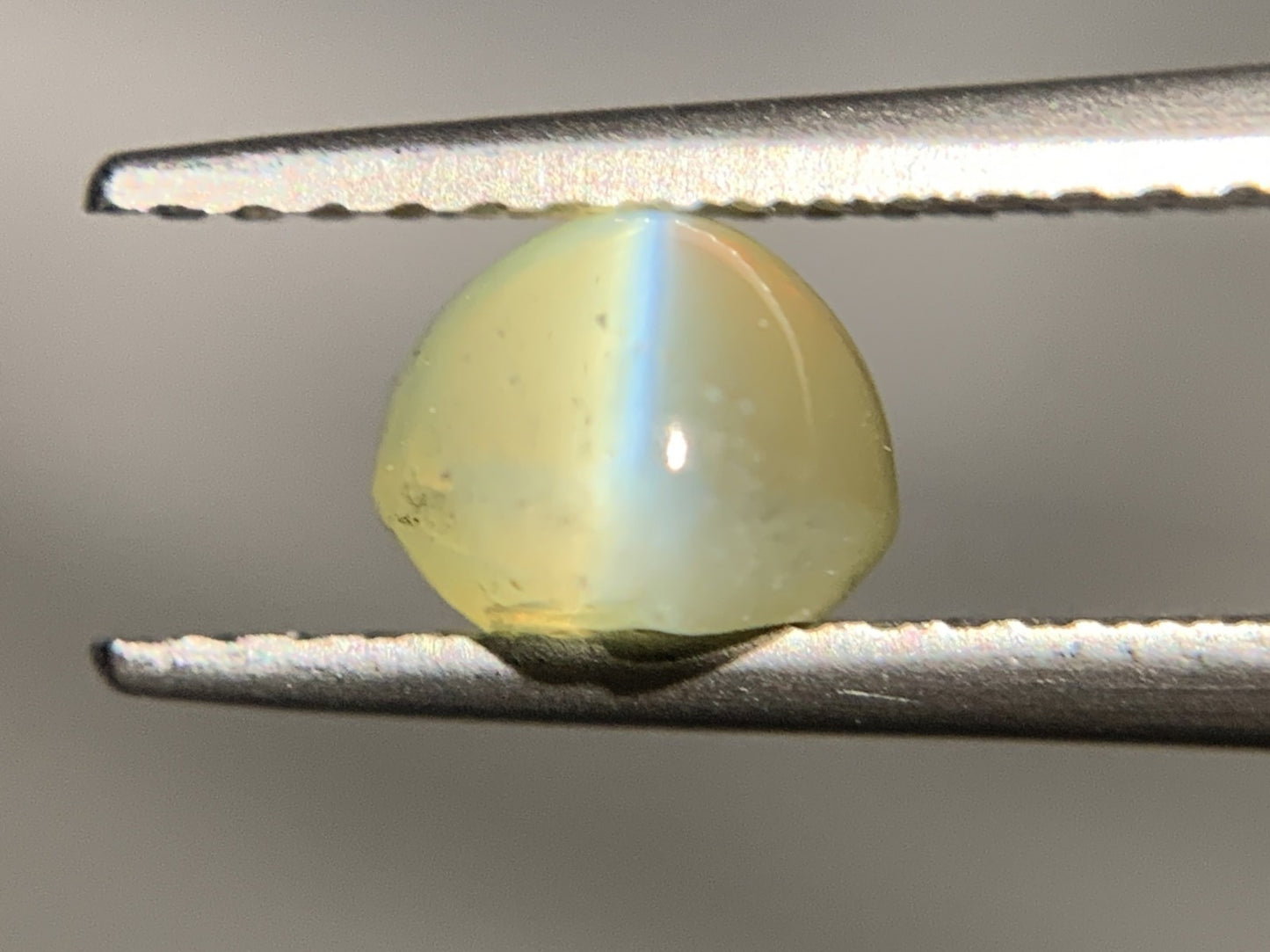 クリソベリルキャッツアイ 1.910ct  宝石ソーティング付き  7.0㎜×5.8㎜×4.5㎜  ルース（ 裸石 ） 2073Y
