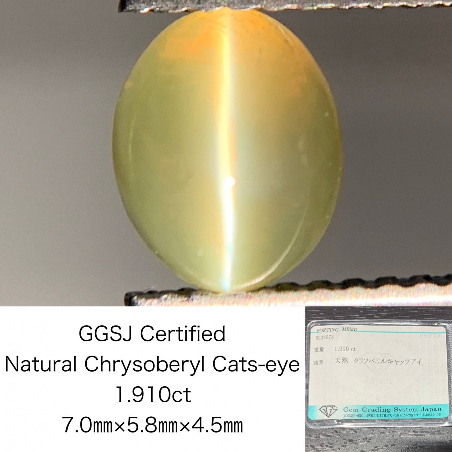 クリソベリルキャッツアイ 1.910ct  宝石ソーティング付き  7.0㎜×5.8㎜×4.5㎜  ルース（ 裸石 ） 2073Y