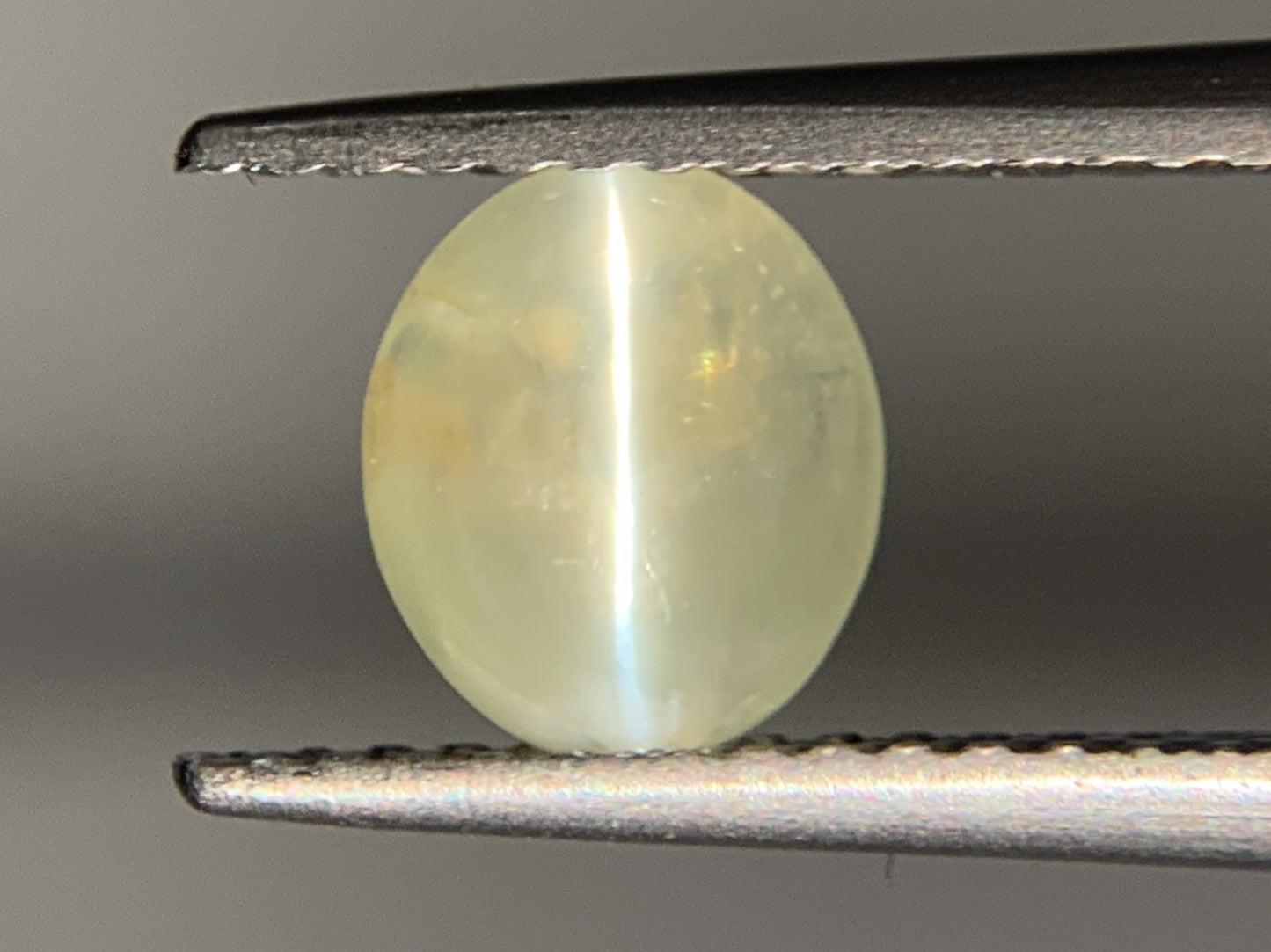 クリソベリルキャッツアイ 1.115ct  宝石ソーティング付き  6.8㎜×5.9㎜×2.8㎜  ルース（ 裸石 ） 2075Y