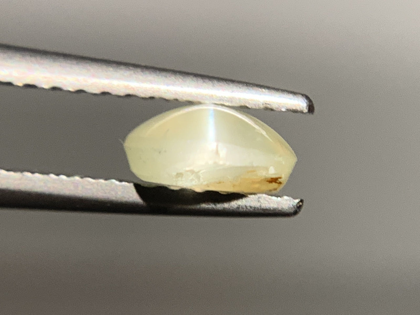クリソベリルキャッツアイ 1.115ct  宝石ソーティング付き  6.8㎜×5.9㎜×2.8㎜  ルース（ 裸石 ） 2075Y
