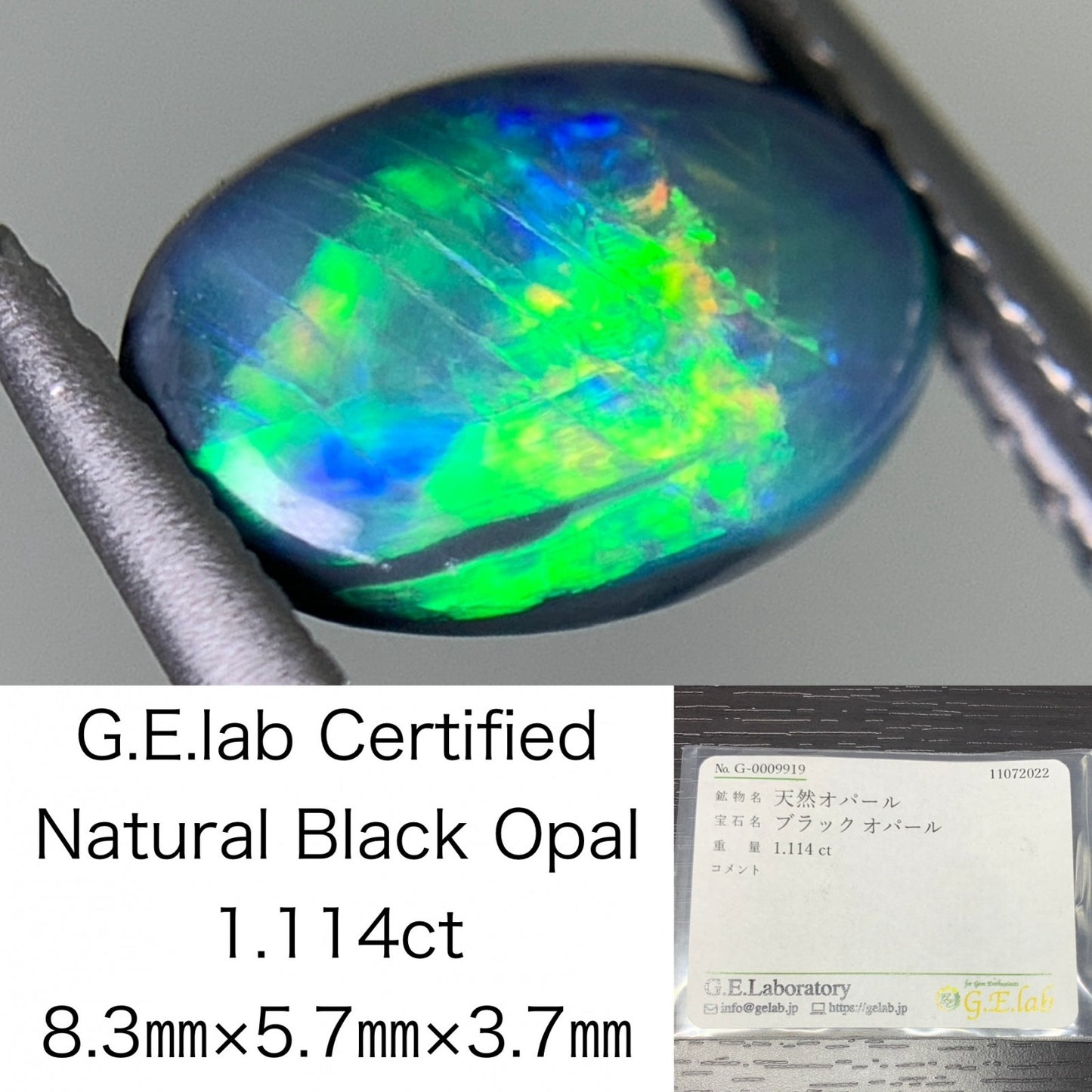 ブラックオパール 1.114ct 宝石ソーティング付き 8.3㎜×5.7㎜×3.7㎜ ルース（ 裸石 ） 2629Y