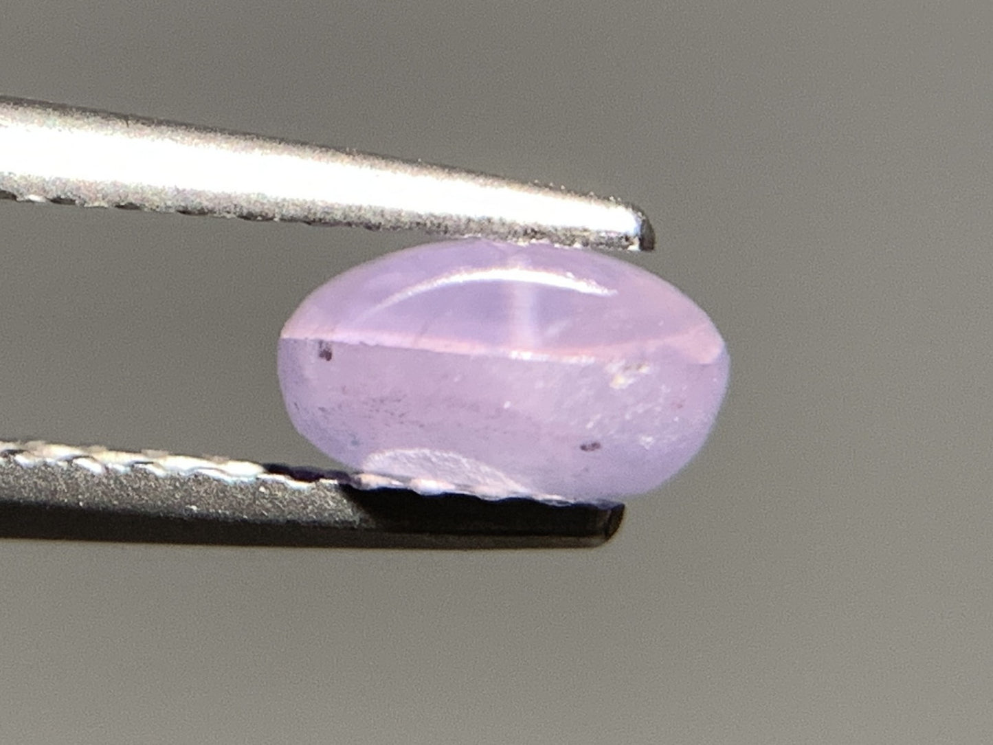バイオレットスターサファイア 天然 1.585ct 宝石ソーティング付き 6.7㎜×6.2㎜×3.3㎜ ルース（ 裸石 ） 7025Y