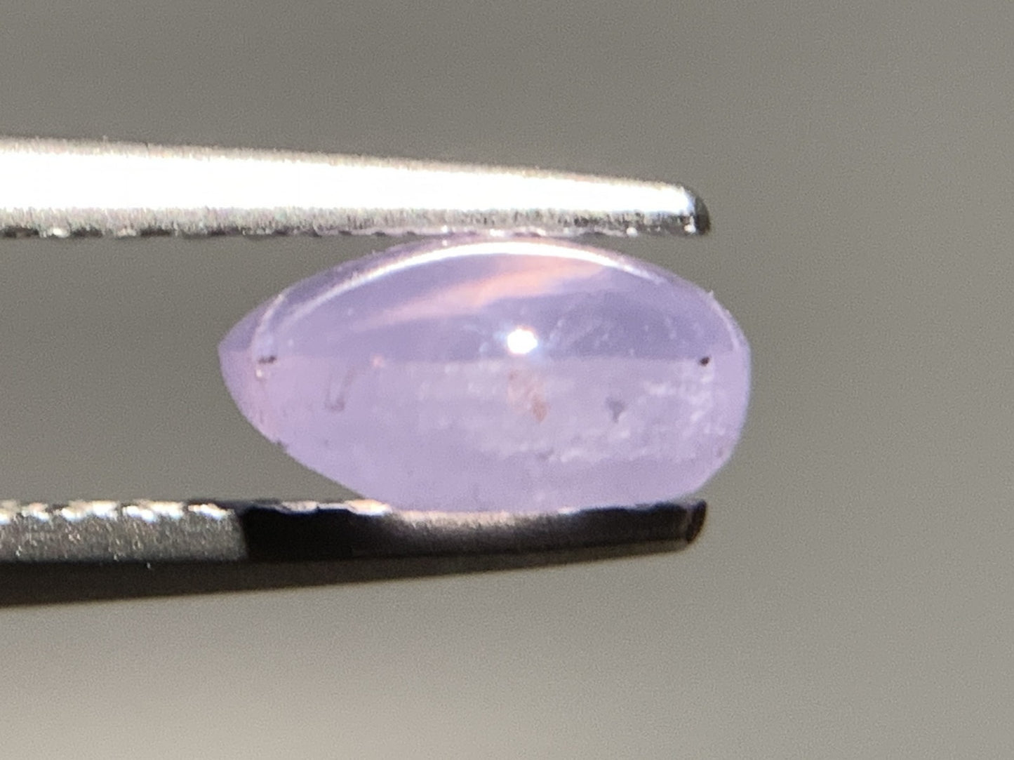 バイオレットスターサファイア 天然 1.585ct 宝石ソーティング付き 6.7㎜×6.2㎜×3.3㎜ ルース（ 裸石 ） 7025Y