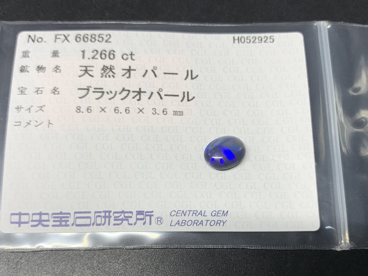 ブラックオパール  天然  1.266ct  中央宝石ソーティング付き  8.6㎜×6.6㎜×3.6㎜   天然 ルース（ 裸石 ） 5249Y