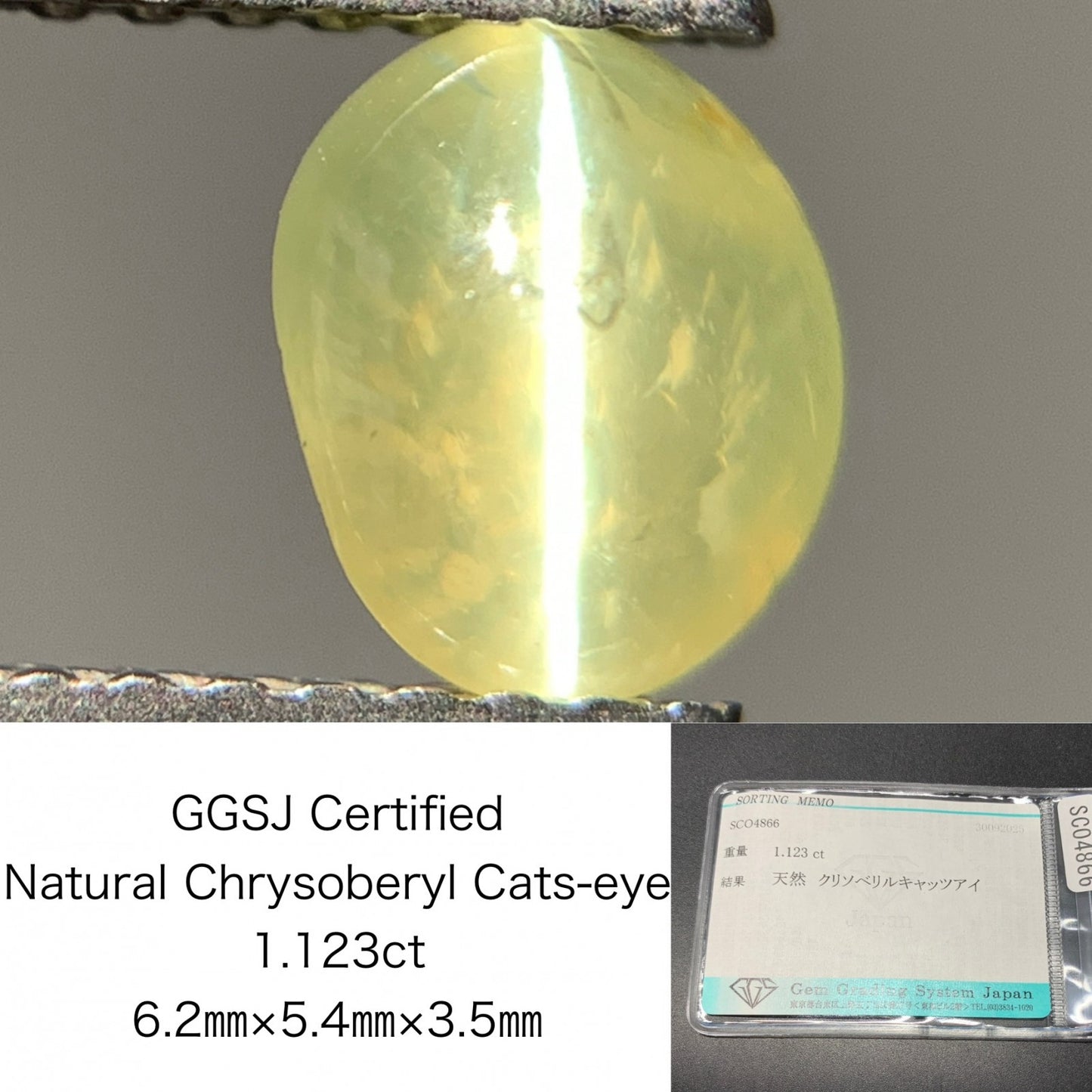 クリソベリルキャッツアイ 天然 1.123ct 宝石ソーティング付き 6.2㎜×5.4㎜×3.5㎜ ルース（ 裸石 ） 7009Y