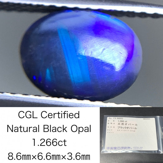 ブラックオパール  天然  1.266ct  中央宝石ソーティング付き  8.6㎜×6.6㎜×3.6㎜   天然 ルース（ 裸石 ） 5249Y