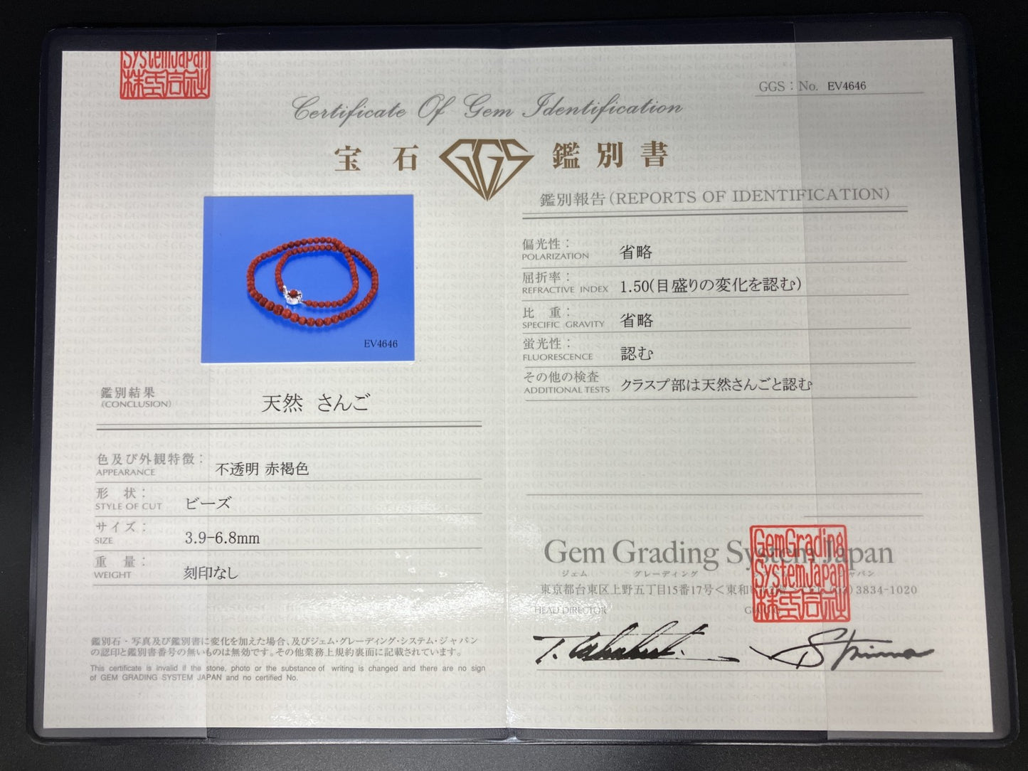 赤珊瑚　ネックレス　（さんご　サンゴ） 宝石鑑別書付き Silver 総重量13.82g ネックレス全長約44cm 4643YY