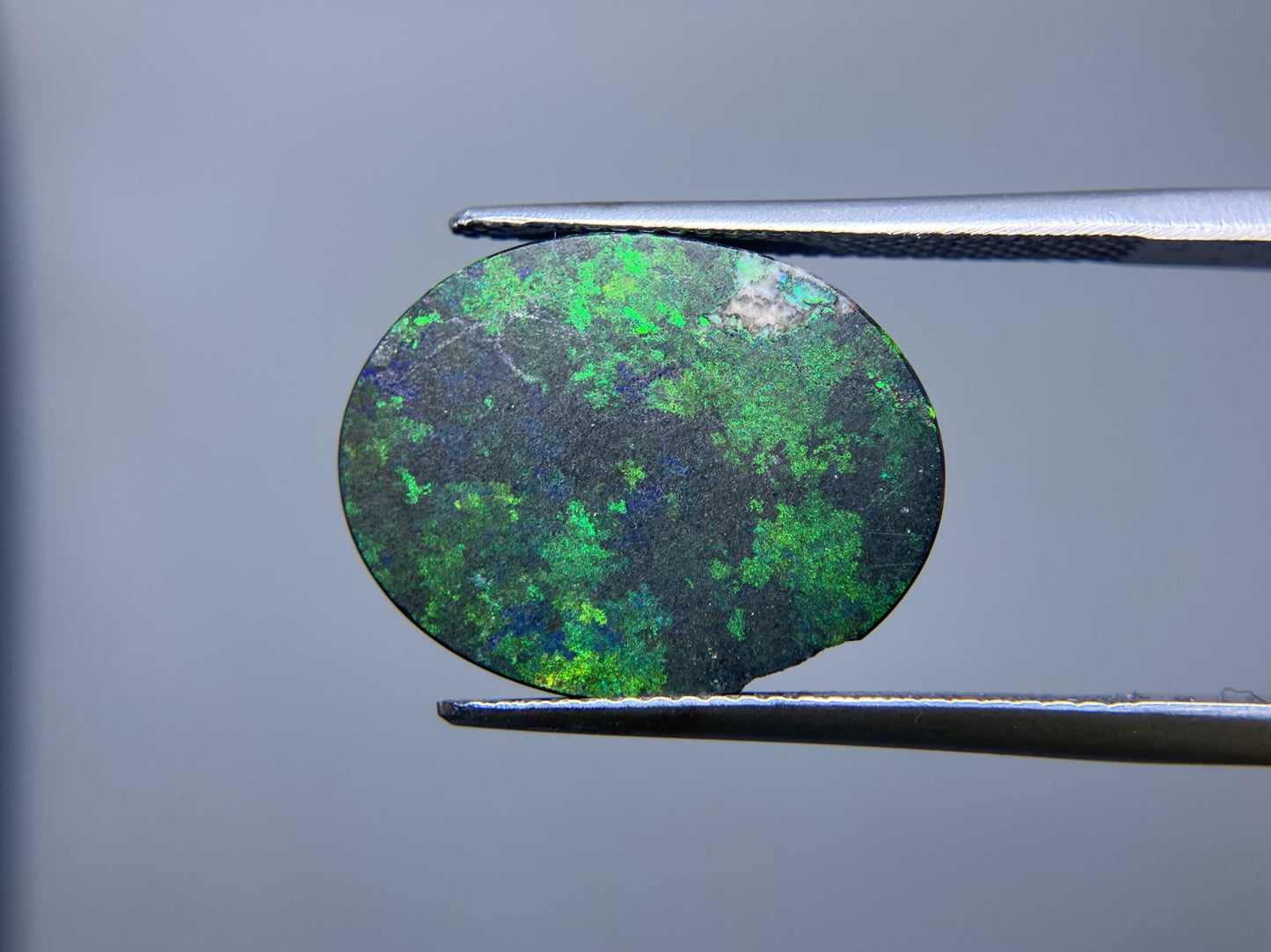 オパール（炭化処理） 8.0ct 宝石ソーティング付き 18.2㎜×14.1㎜×5.0㎜ ルース（ 裸石 ） 3528S