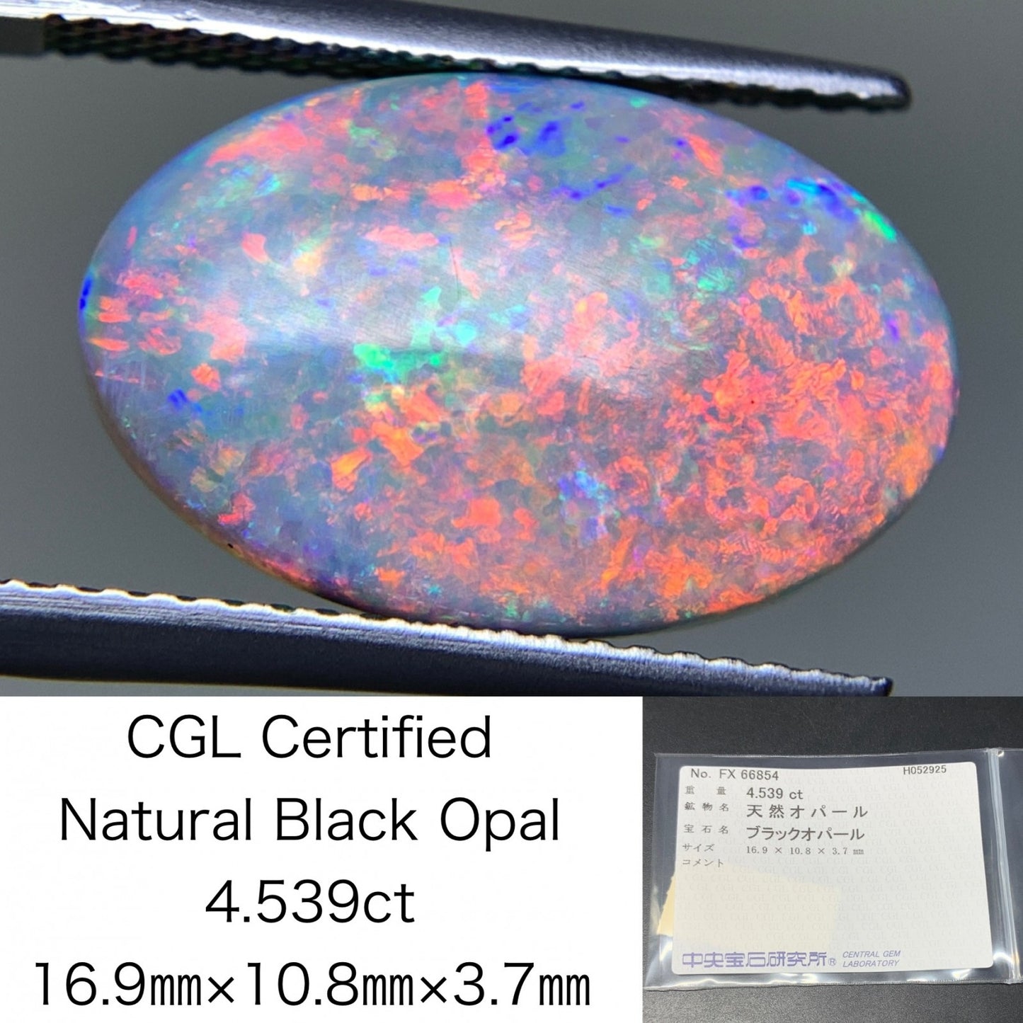 ブラックオパール  天然  4.539ct  中央宝石ソーティング付き  16.9㎜×10.8㎜×3.7㎜   天然 ルース（ 裸石 ） 5209Y