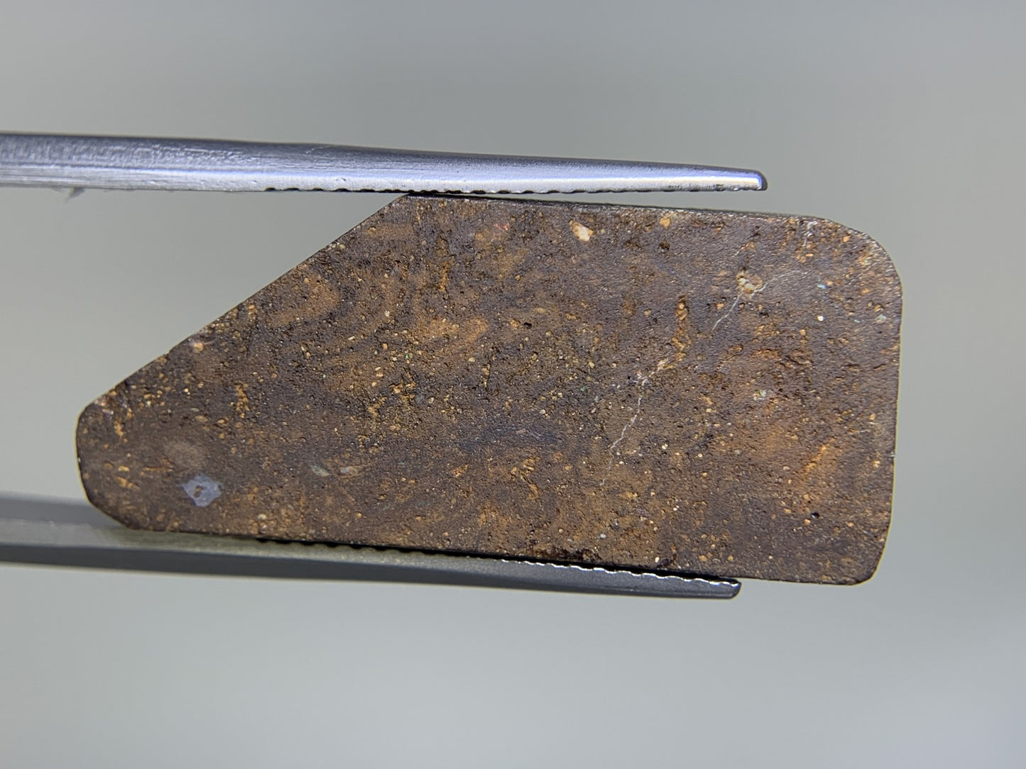ボルダーオパール 12.387ct  宝石ソーティング付き  27.4㎜×12.6㎜×3.3㎜  ルース（ 裸石 ） 2123Y