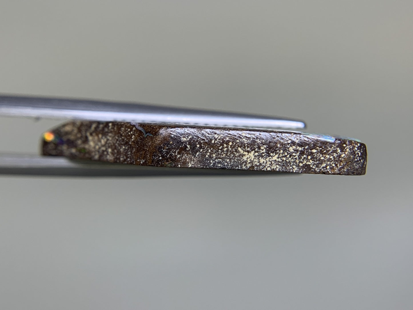 ボルダーオパール 12.387ct  宝石ソーティング付き  27.4㎜×12.6㎜×3.3㎜  ルース（ 裸石 ） 2123Y