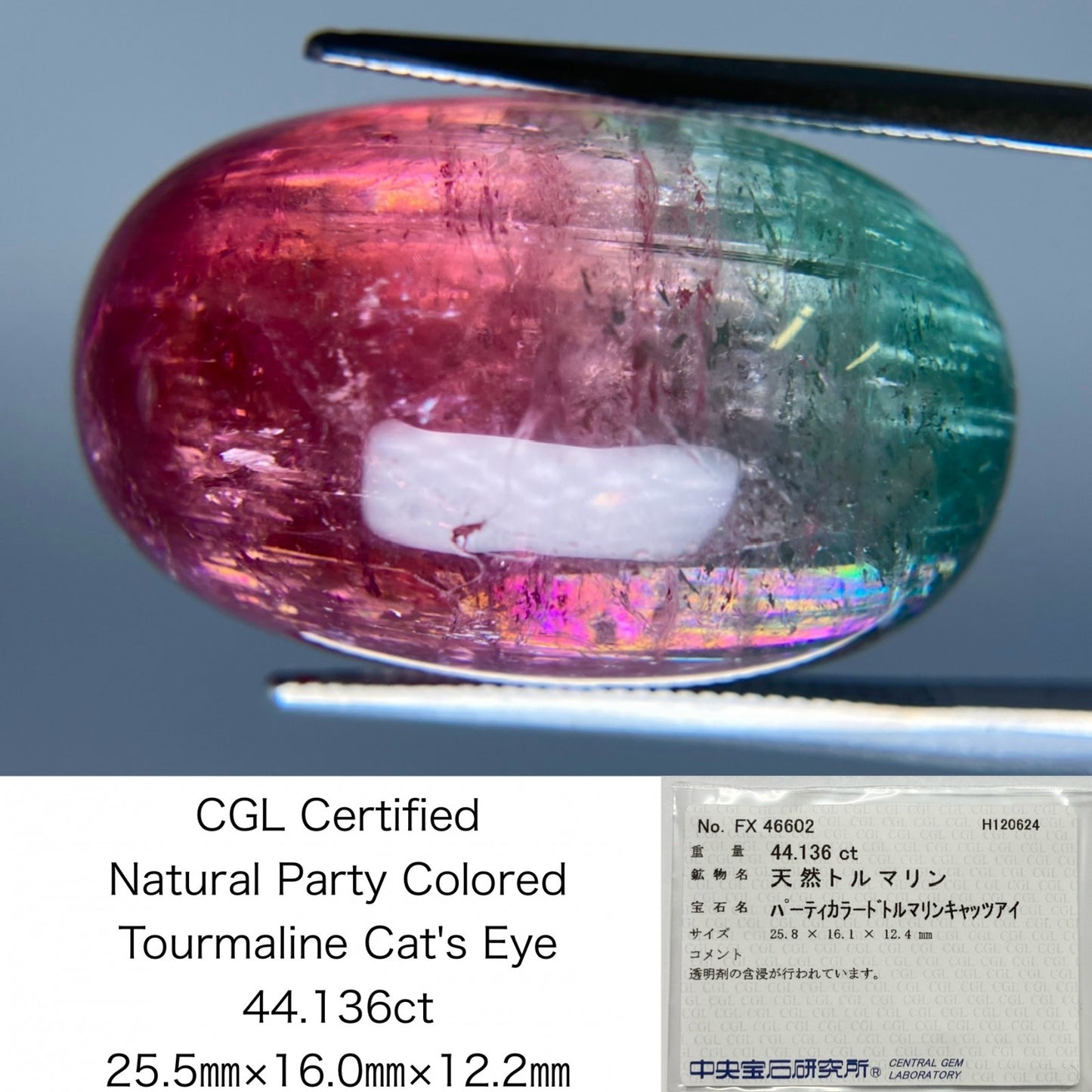 パーティカラードトルマリンキャッツアイ 44.136ct 中央宝石ソーティング付き 25.5㎜×16.0㎜×12.2㎜ ルース（ 裸石 ） 3425S