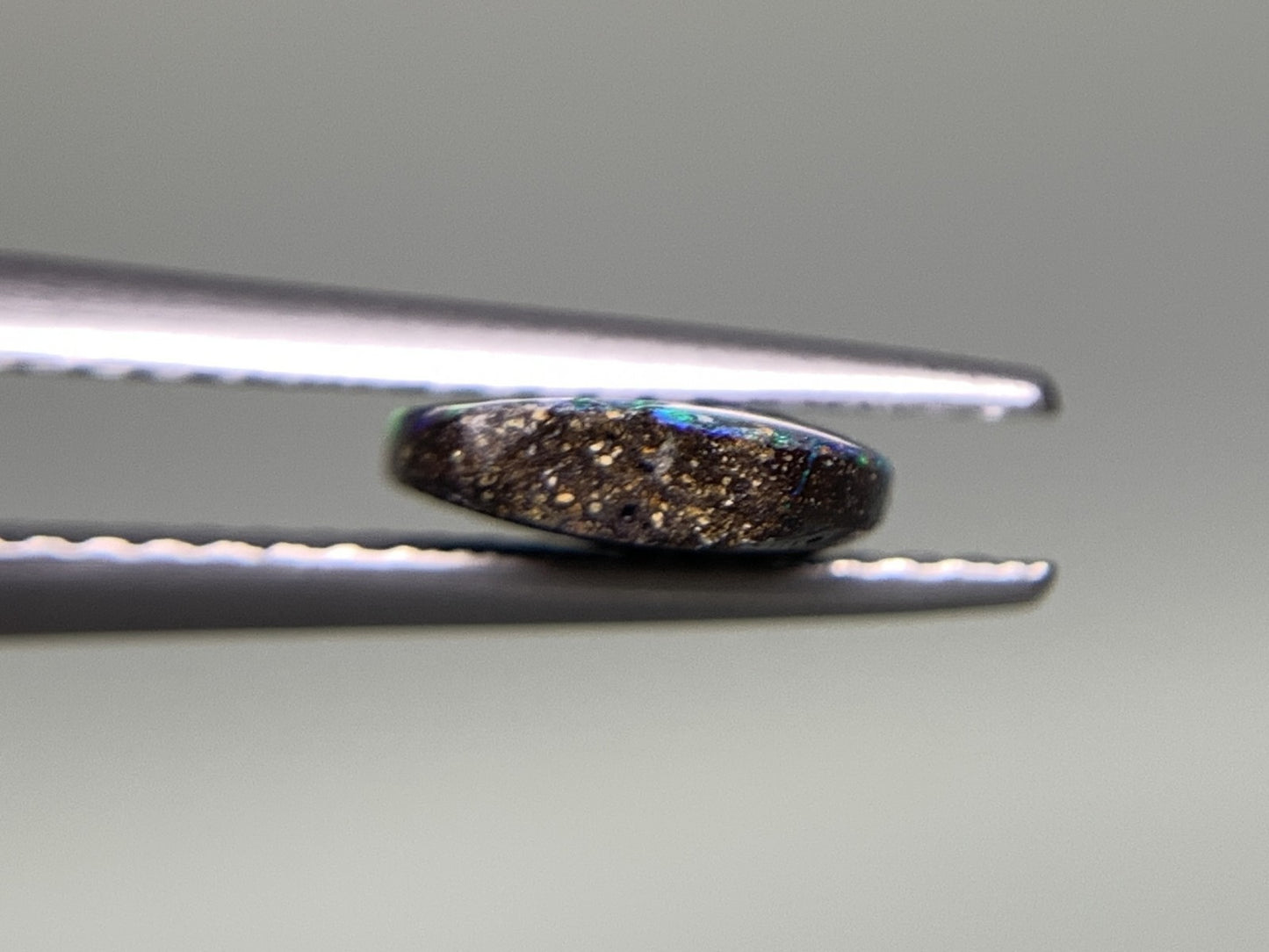 ボルダーオパール 天然  1.181ct  宝石ソーティング付き  8.8㎜×7.3㎜×2.1㎜  ルース（ 裸石 ）  5338Y