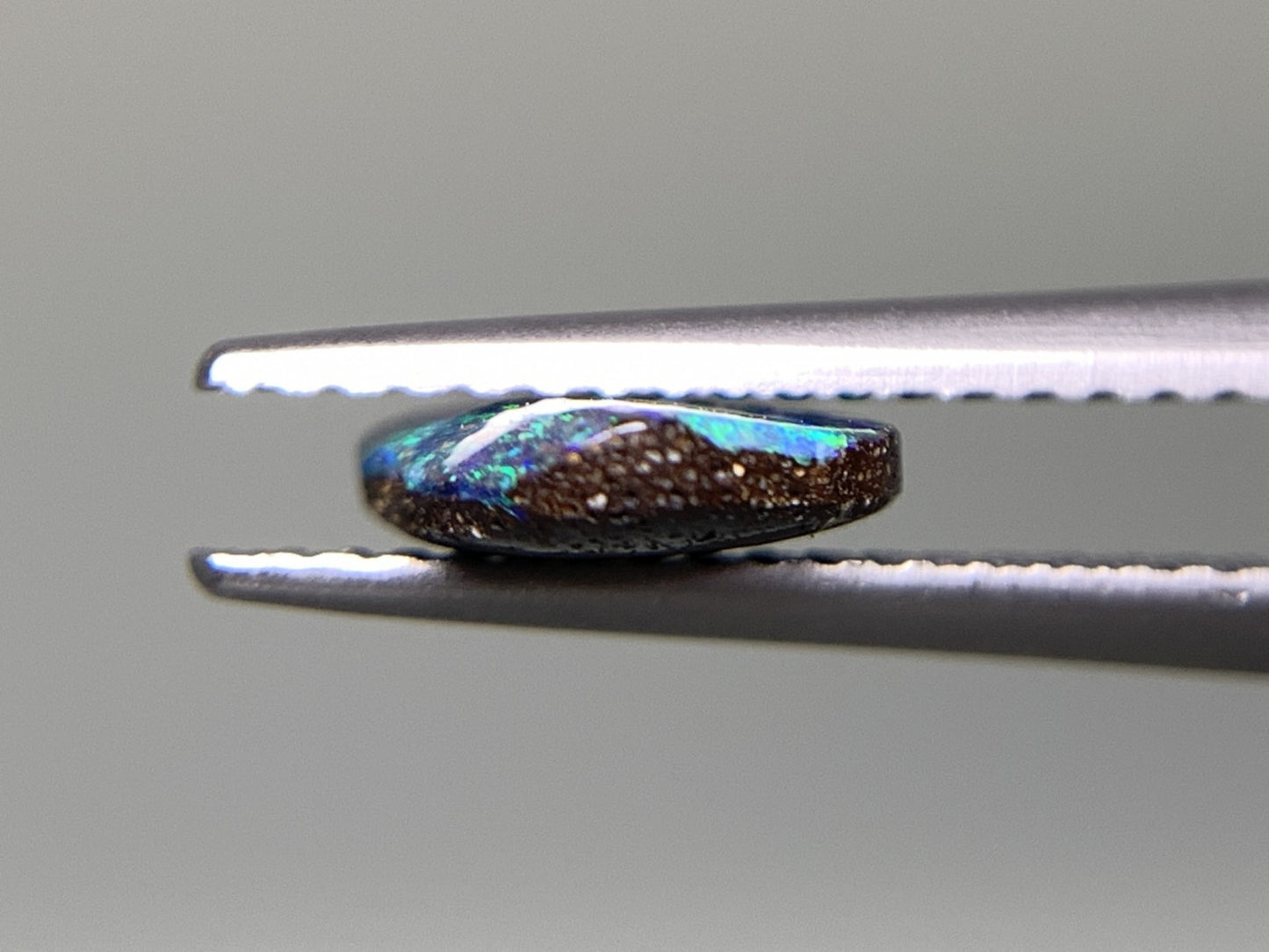 ボルダーオパール 天然  1.181ct  宝石ソーティング付き  8.8㎜×7.3㎜×2.1㎜  ルース（ 裸石 ）  5338Y