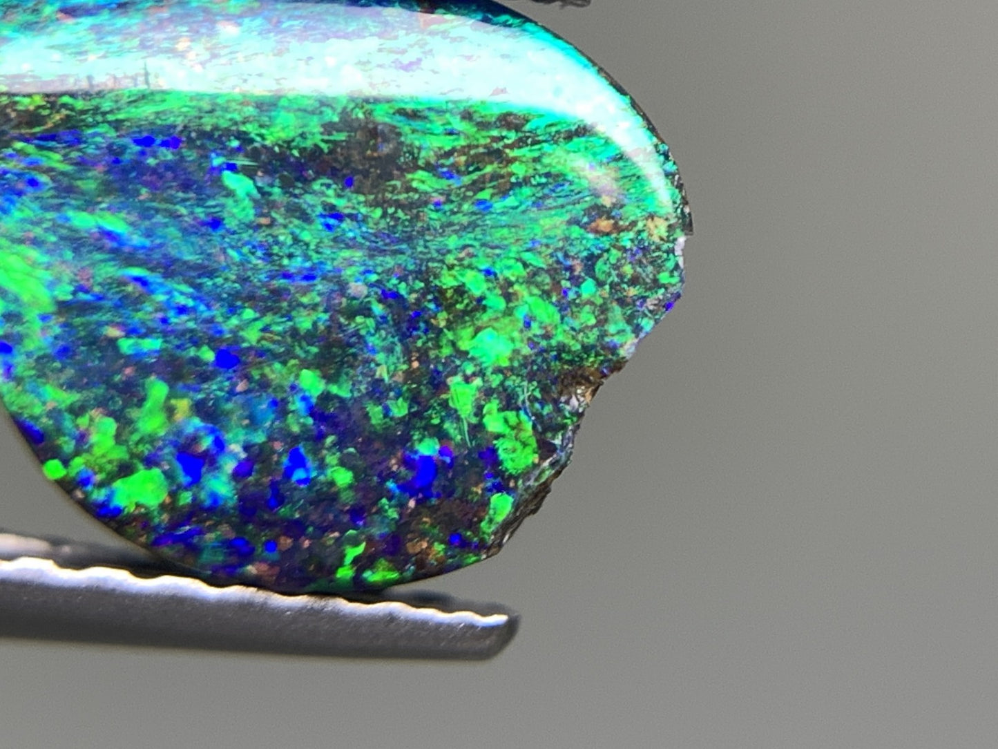 ボルダーオパール 天然  1.181ct  宝石ソーティング付き  8.8㎜×7.3㎜×2.1㎜  ルース（ 裸石 ）  5338Y