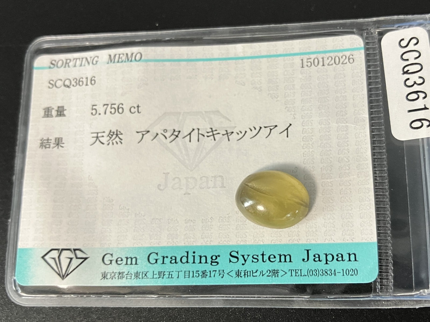 アパタイトキャッツアイ 天然 5.756ct 宝石ソーティング付き 12.6㎜×9.7㎜×5.2㎜ ルース（ 裸石 ） 8067YY