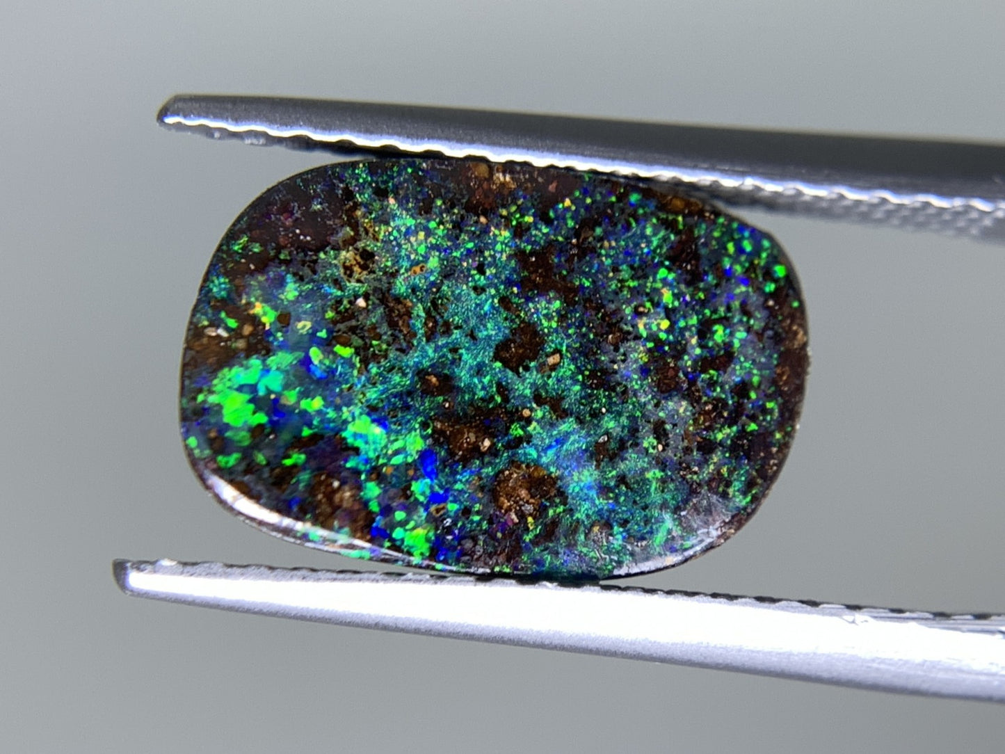 ボルダーオパール 2.347ct  宝石ソーティング付き  12.1㎜×8.0㎜×2.4㎜  天然 ルース（ 裸石 ） 4598Y