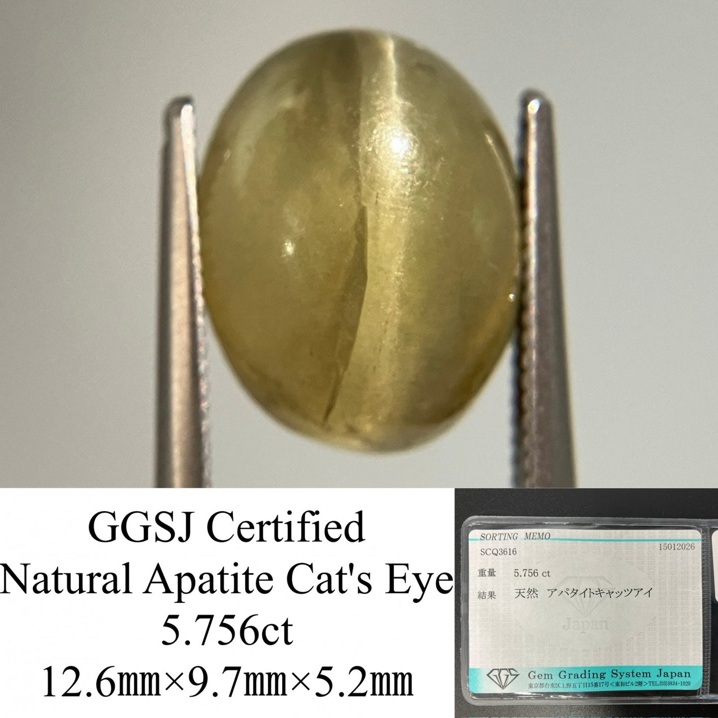 アパタイトキャッツアイ 天然 5.756ct 宝石ソーティング付き 12.6㎜×9.7㎜×5.2㎜ ルース（ 裸石 ） 8067YY