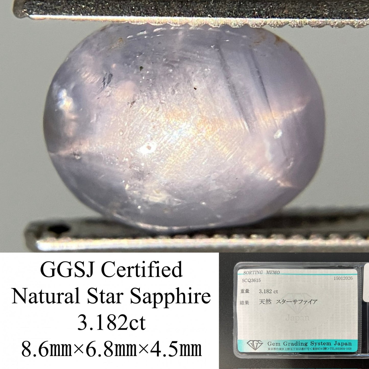 スターサファイア 天然 3.182ct 宝石ソーティング付き 8.6㎜×6.8㎜×4.5㎜ ルース（ 裸石 ） 8052YY