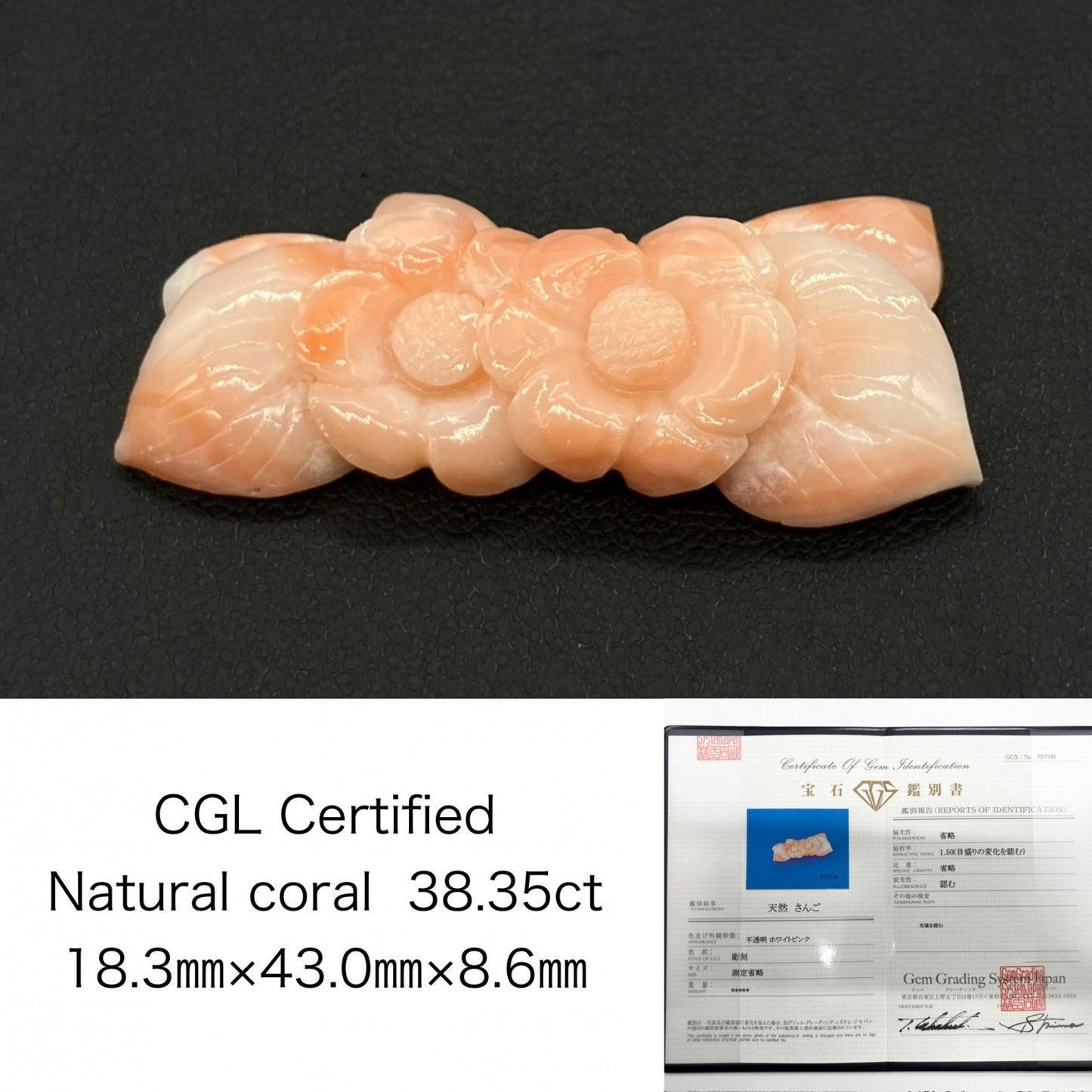 珊瑚　さんご 天然 38.35ct 宝石ソーティング付き 18.3㎜×43.0㎜×8.6㎜ ルース（ 裸石 ） 8692S