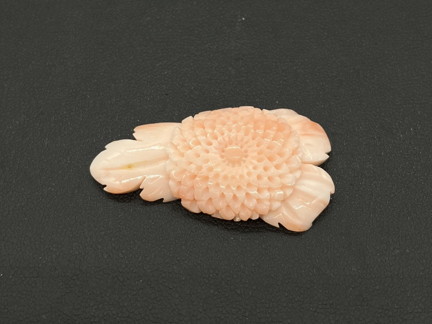 珊瑚　さんご 天然 32.38ct 宝石ソーティング付き 22.4㎜×40.7㎜×6.6㎜ ルース（ 裸石 ） 8695S