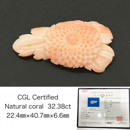 珊瑚　さんご 天然 32.38ct 宝石ソーティング付き 22.4㎜×40.7㎜×6.6㎜ ルース（ 裸石 ） 8695S
