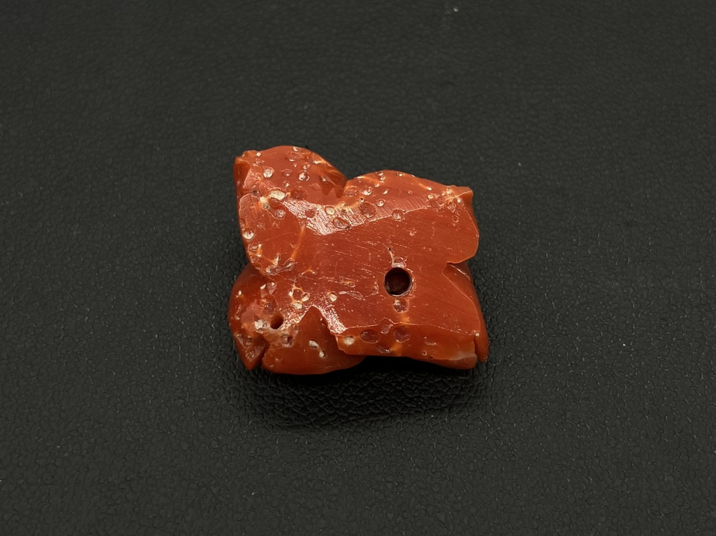 赤珊瑚　さんご 天然 23.37ct 宝石ソーティング付き 21.2㎜×21.3㎜×10.0㎜ ルース（ 裸石 ） 8697S