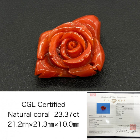 赤珊瑚　さんご 天然 23.37ct 宝石ソーティング付き 21.2㎜×21.3㎜×10.0㎜ ルース（ 裸石 ） 8697S