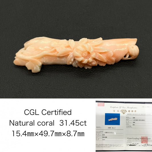 珊瑚　さんご 天然 31.45ct 宝石ソーティング付き 15.4㎜×49.7㎜×8.7㎜ ルース（ 裸石 ） 8699S