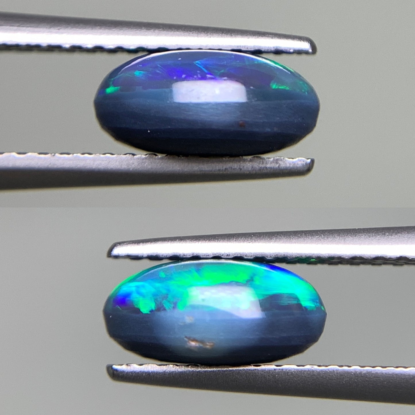ブラックオパール 1.646ct  中央宝石ソーティング付き  9.0㎜×6.9㎜×4.2㎜  天然 ルース（ 裸石 ） 4455Y