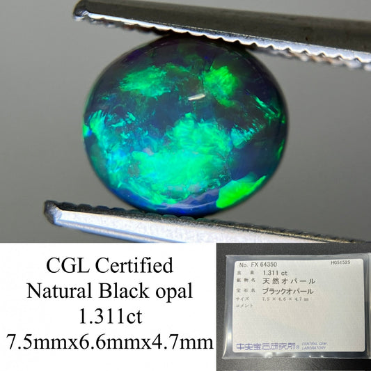 ブラックオパール  天然  1.311ct  中央宝石ソーティング付き  7.5㎜×6.6㎜×4.7㎜   ルース（ 裸石 ） 4843YY