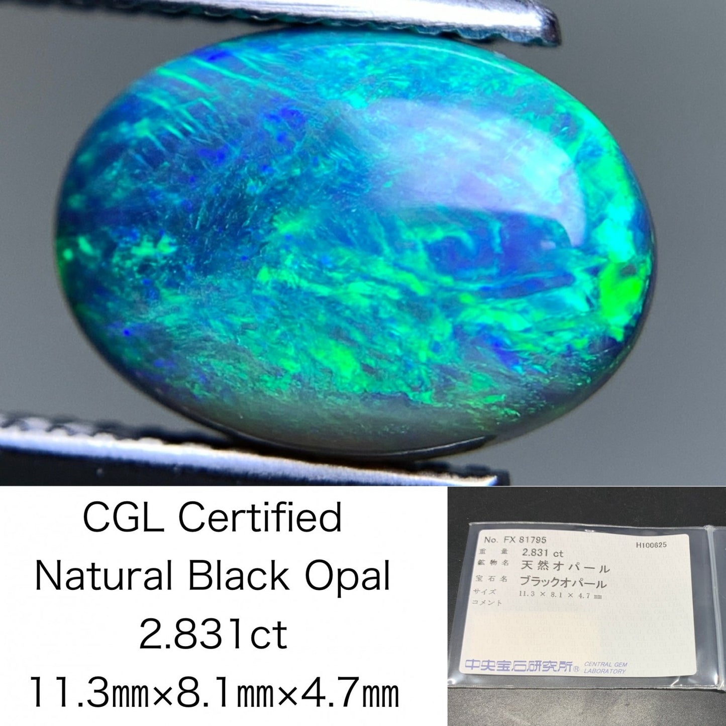 ブラックオパール 天然 2.831ct 中央宝石ソーティング付き 11.3㎜×8.1㎜×4.7㎜ ルース（ 裸石 ） 7002Y