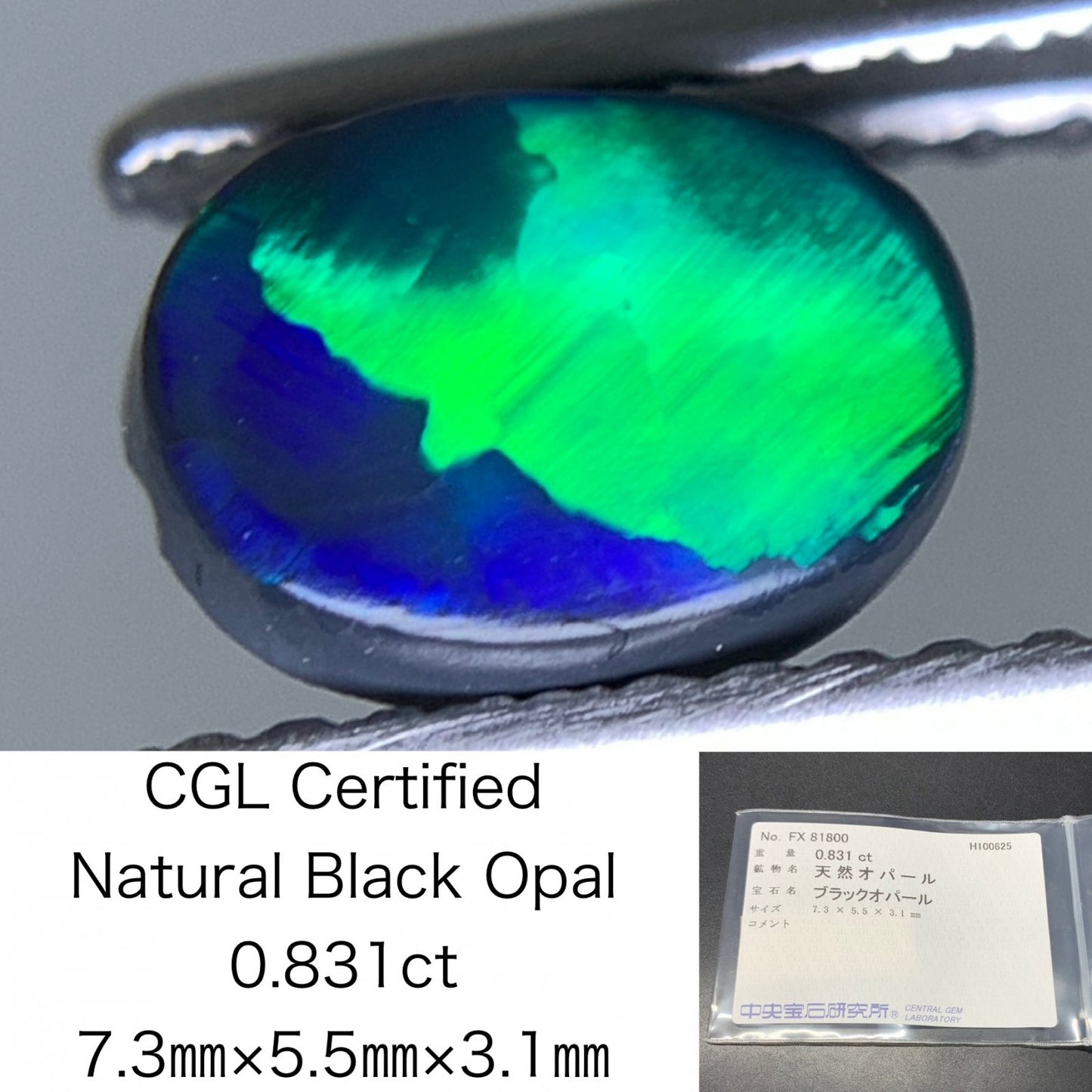 ブラックオパール 天然 0.831ct 中央宝石ソーティング付き 7.3㎜×5.5㎜×3.1㎜ ルース（ 裸石 ） 6955Y