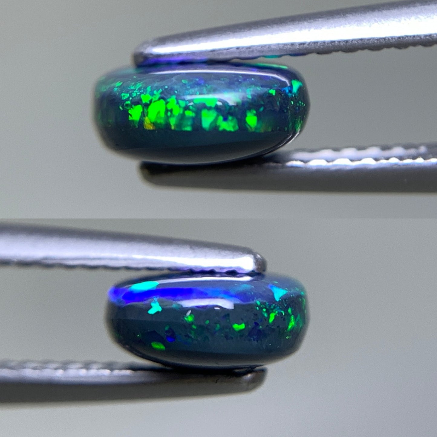 ブラックオパール 天然 1.609ct 中央宝石ソーティング付き 9.3㎜×7.5㎜×3.5㎜ ルース（ 裸石 ） 7015Y