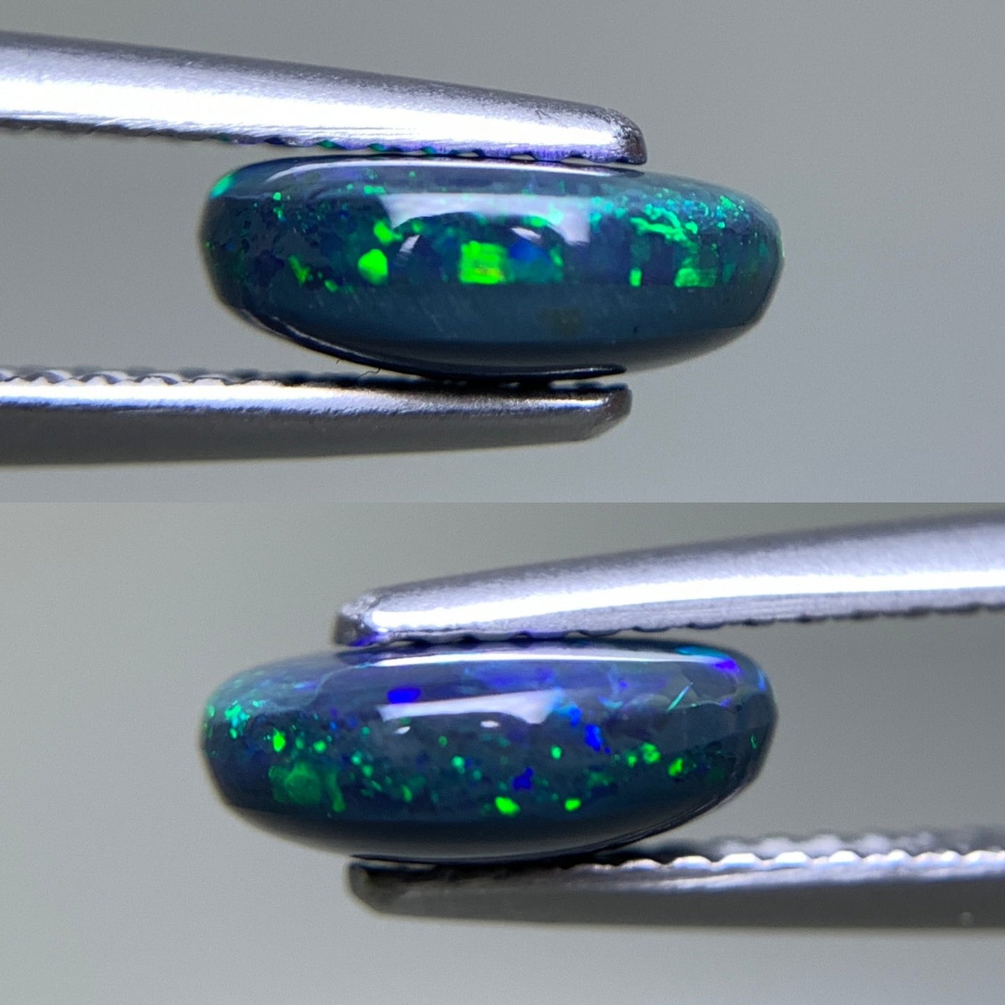 ブラックオパール 天然 1.609ct 中央宝石ソーティング付き 9.3㎜×7.5㎜×3.5㎜ ルース（ 裸石 ） 7015Y