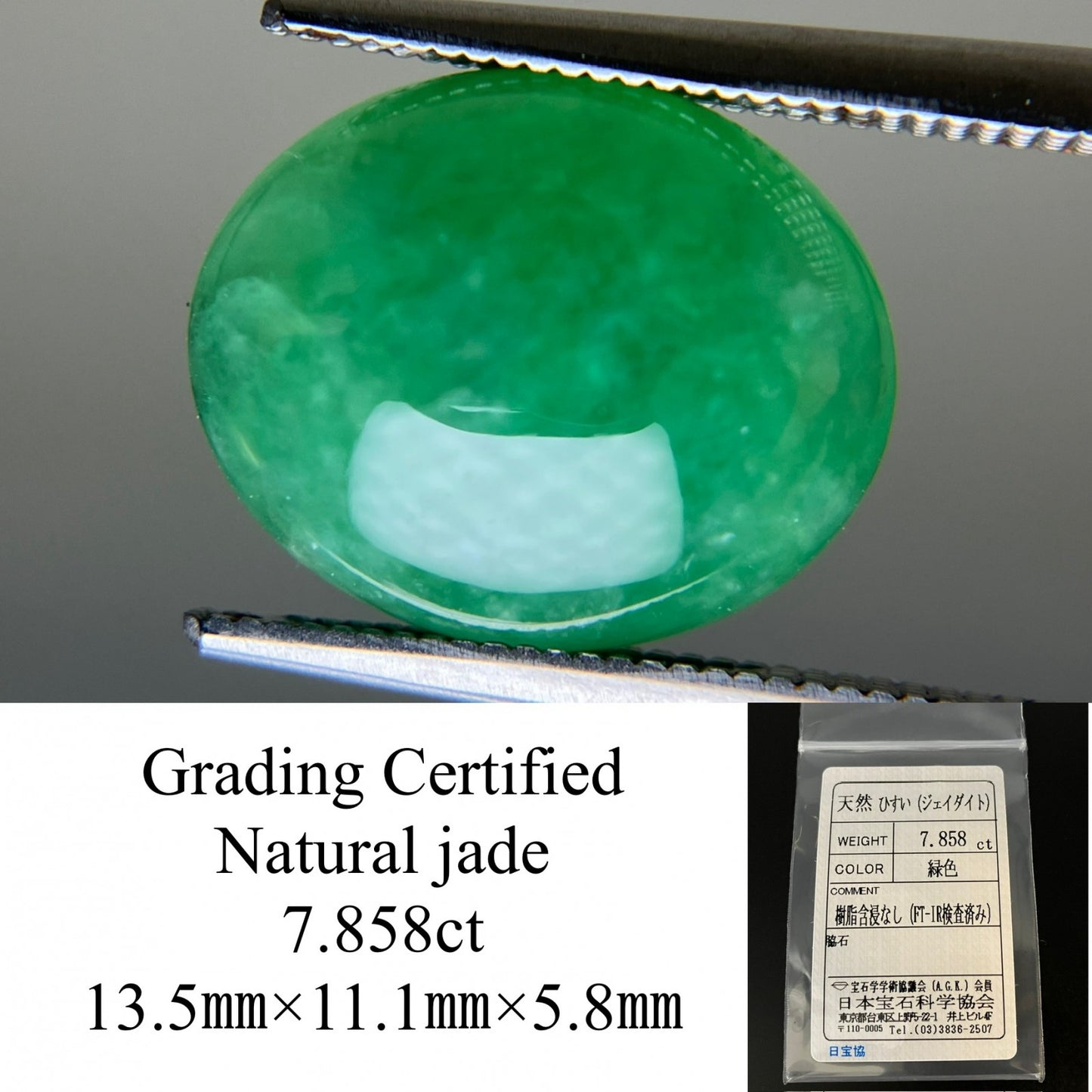 ヒスイ 翡翠  天然  7.858ct  宝石ソーティング付き  13.5㎜×11.1㎜×5.8㎜   天然 ルース（ 裸石 ） 5065YY