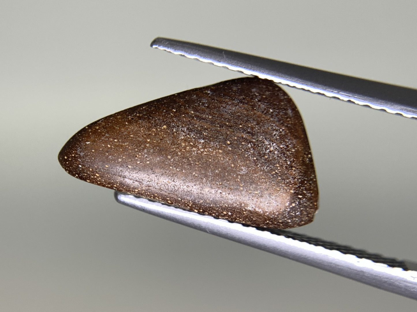 ボルダーオパール 2.647ct 宝石ソーティング付き  13.8㎜×9.0㎜×3.0㎜  ルース（ 裸石 ） 3159Y