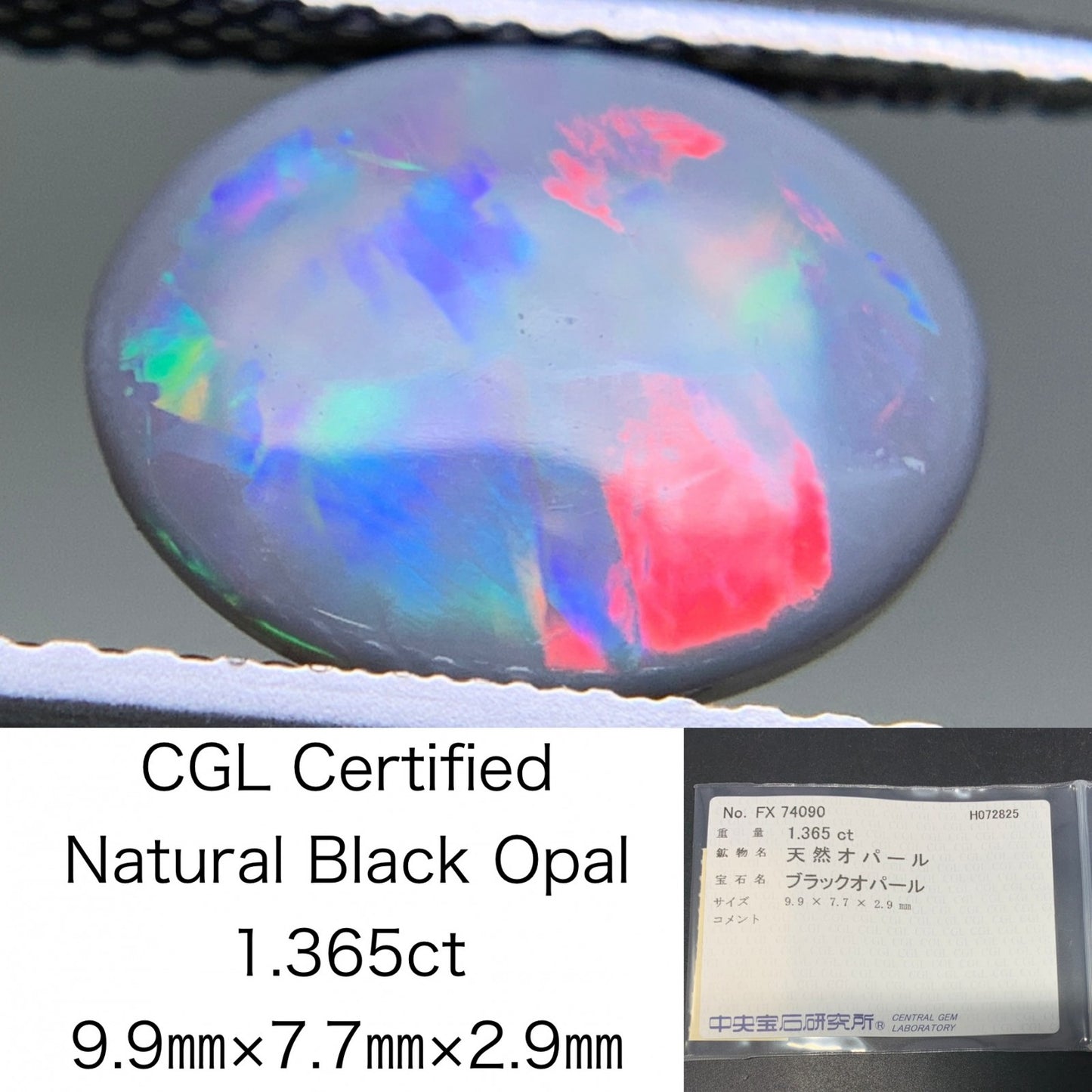 ブラックオパール 天然 1.365ct 中央宝石ソーティング付き 9.9㎜×7.7㎜×2.9㎜ ルース（ 裸石 ） 6135Y