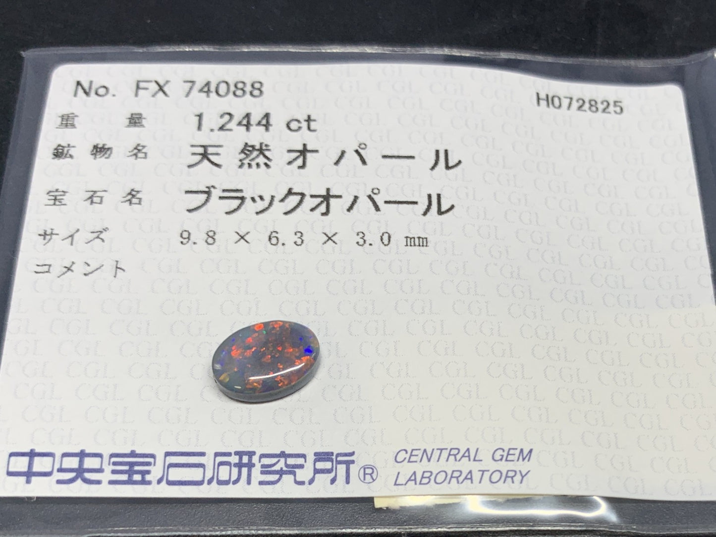 ブラックオパール 天然 1.244ct 中央宝石ソーティング付き 9.8㎜×6.3㎜×3.0㎜ ルース（ 裸石 ） 6138Y