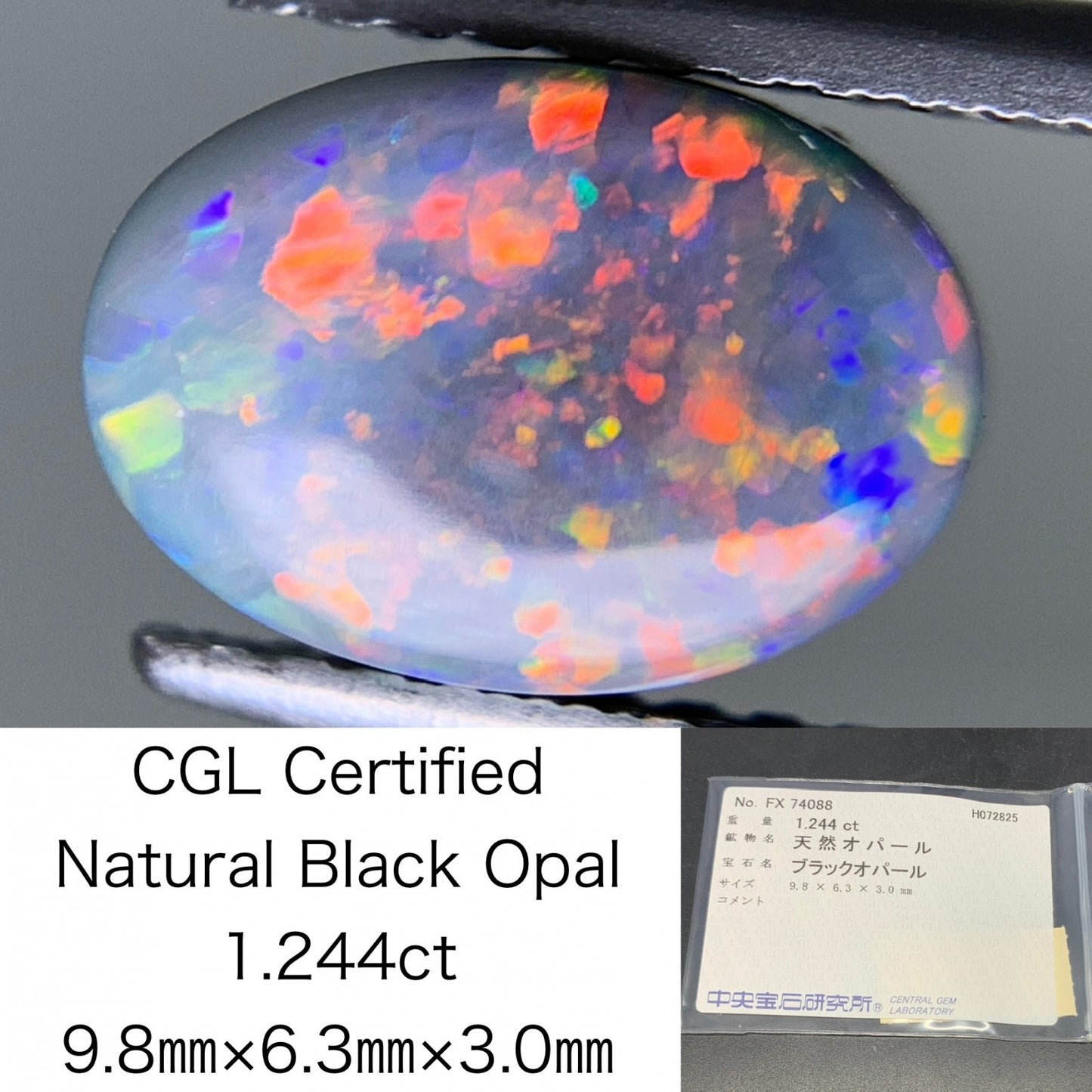 ブラックオパール 天然 1.244ct 中央宝石ソーティング付き 9.8㎜×6.3㎜×3.0㎜ ルース（ 裸石 ） 6138Y