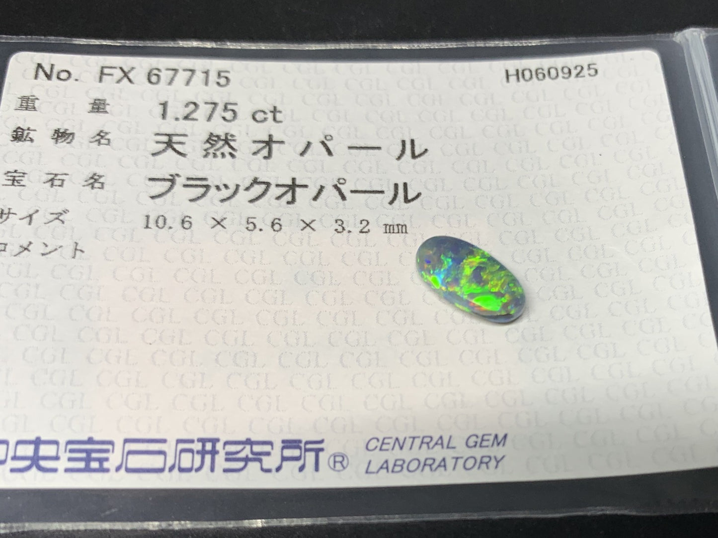 ブラックオパール  天然  1.275ct  中央宝石ソーティング付き  10.6㎜×5.6㎜×3.2㎜   天然 ルース（ 裸石 ） 5348Y